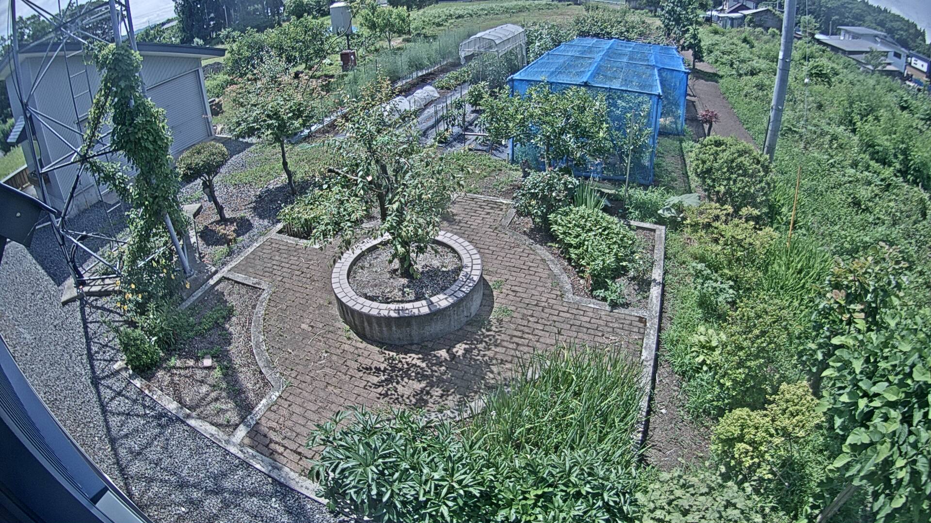 2021ǯ07091000ʬ01